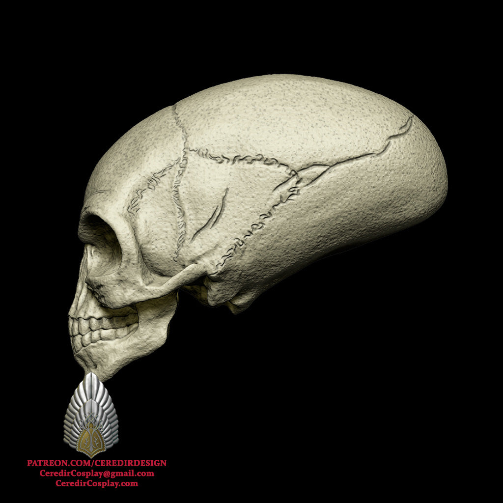 Indiana Jones Crystal Skull 3D DIGITAL DOWNLOAD