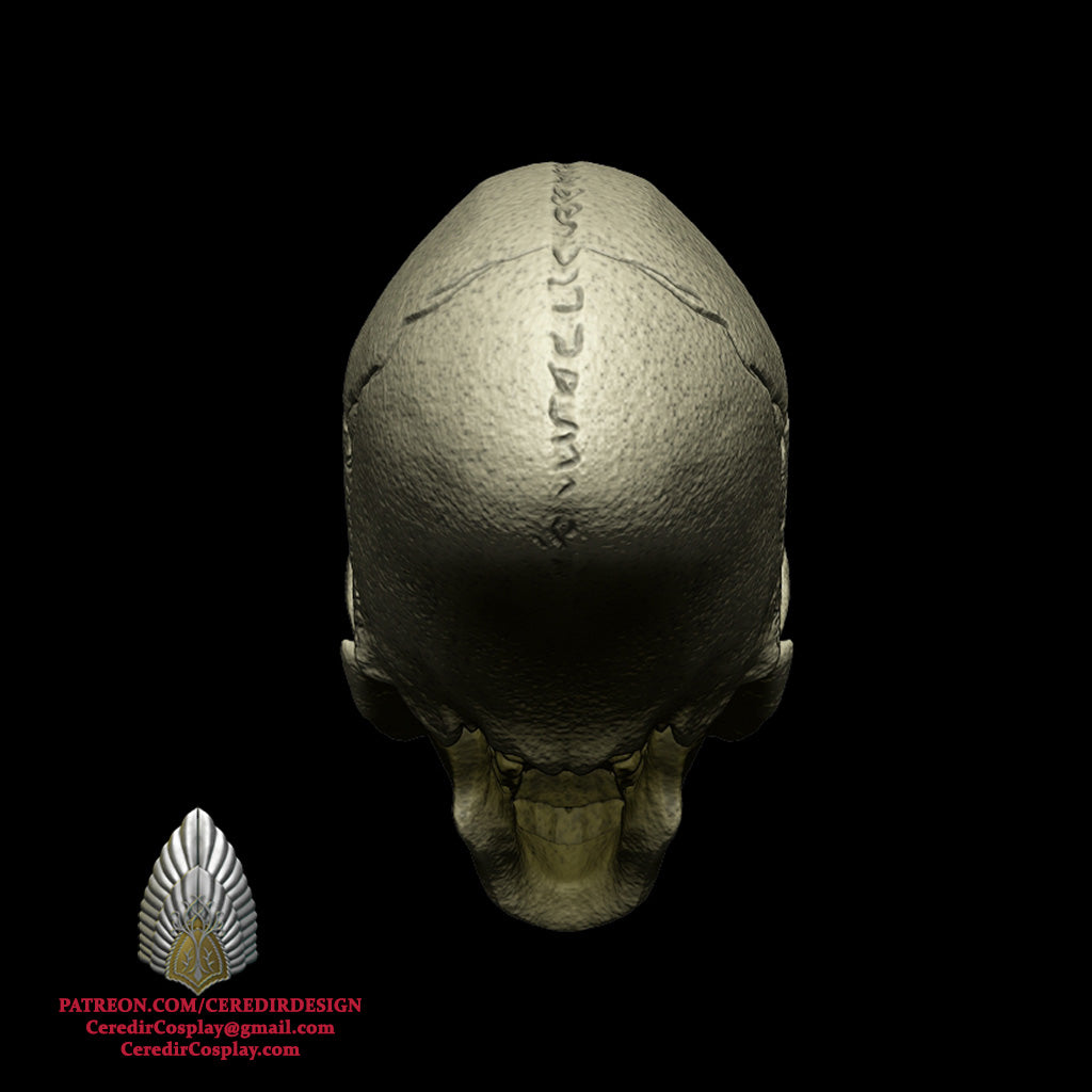 Indiana Jones Crystal Skull 3D DIGITAL DOWNLOAD